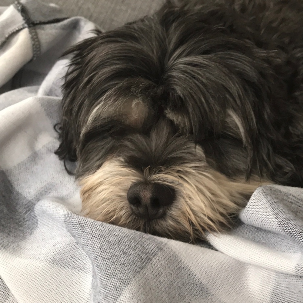 Meet your Posher, Jesse